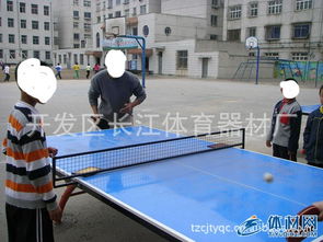 體驗極致對決 紅雙喜高檔室外乒乓球臺的完美選擇